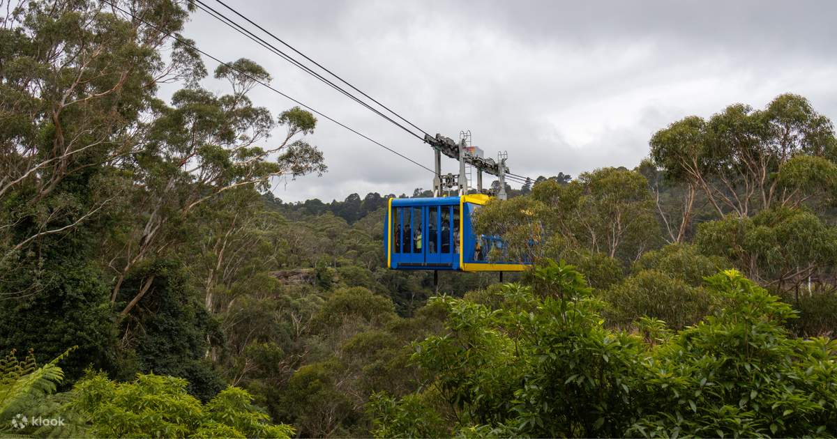 ブルーマウンテンズ 日帰りデラックスツアー（シドニー発） | Klook